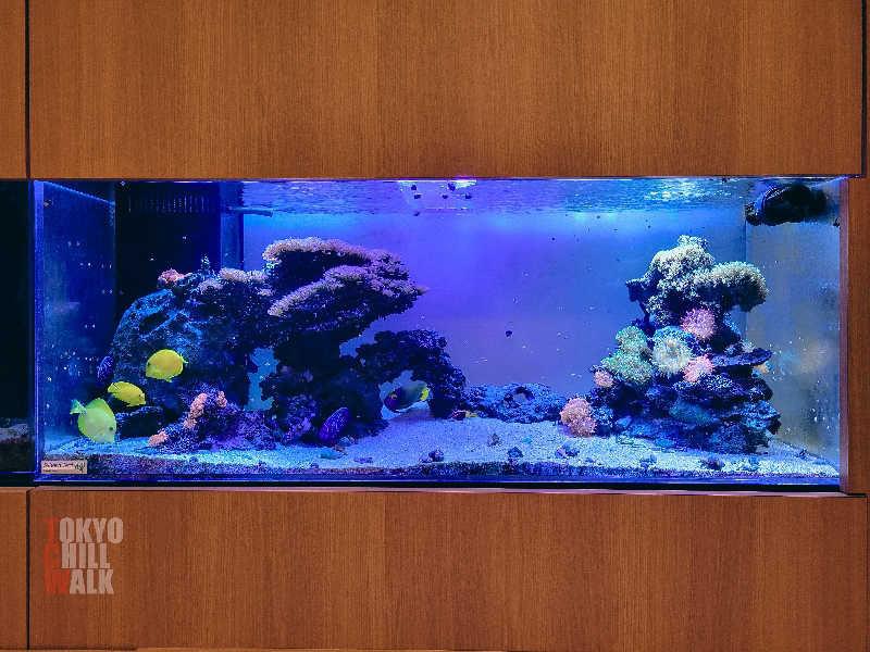 TCWさんのクアパレス藤のサ活写真