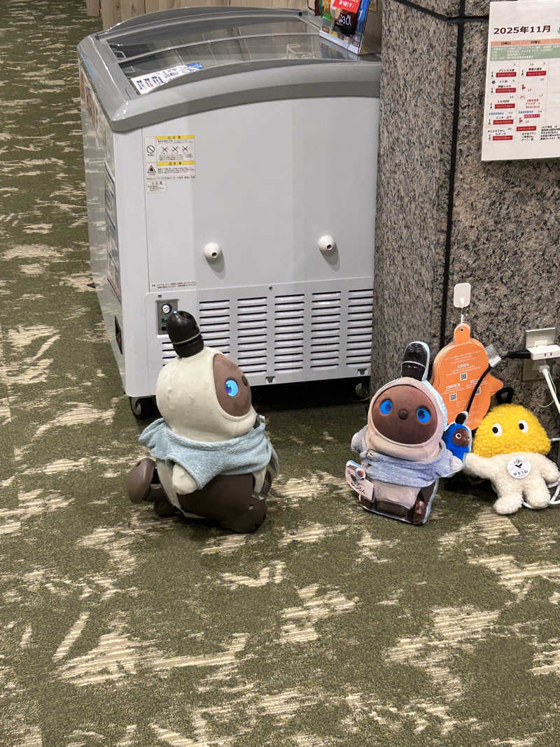 ベイダー@さんのSPA&ごはん ゆるうむ yuluumuのサ活写真