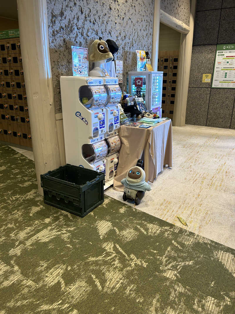 ベイダー@さんのSPA&ごはん ゆるうむ yuluumuのサ活写真