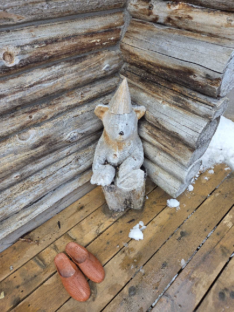 Unofficial毛深男dismさんのThe Saunaのサ活写真