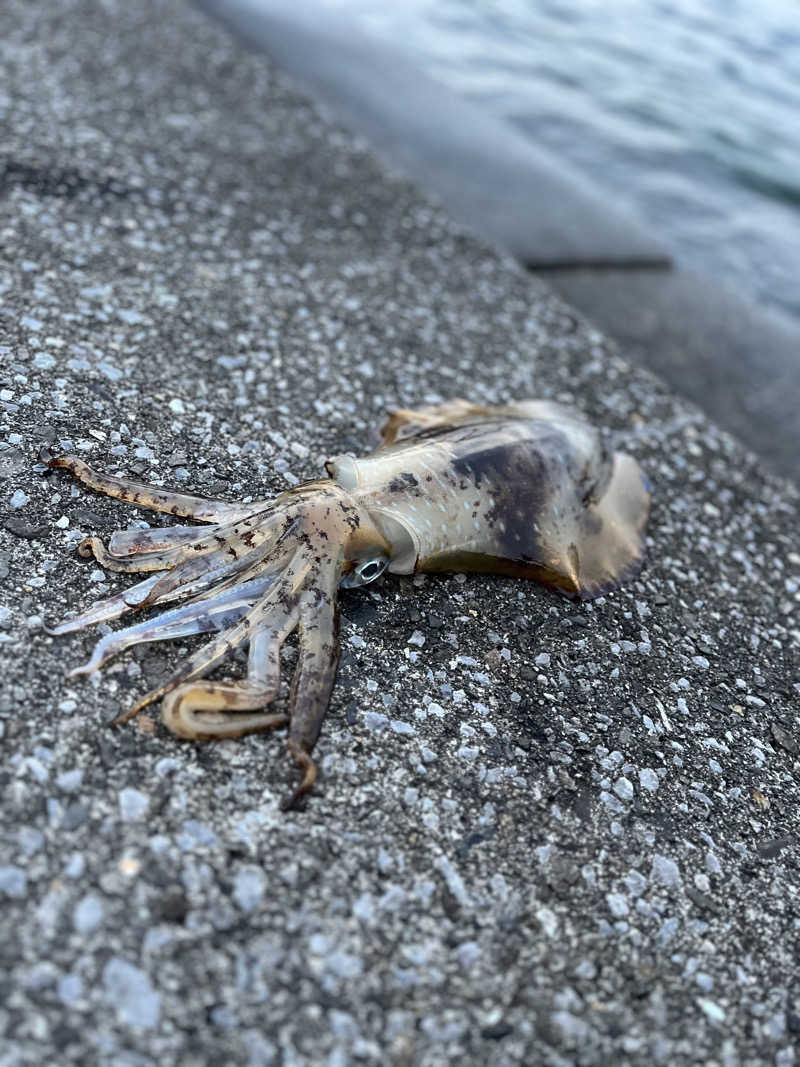 D.O.さんの阿曽温泉のサ活写真
