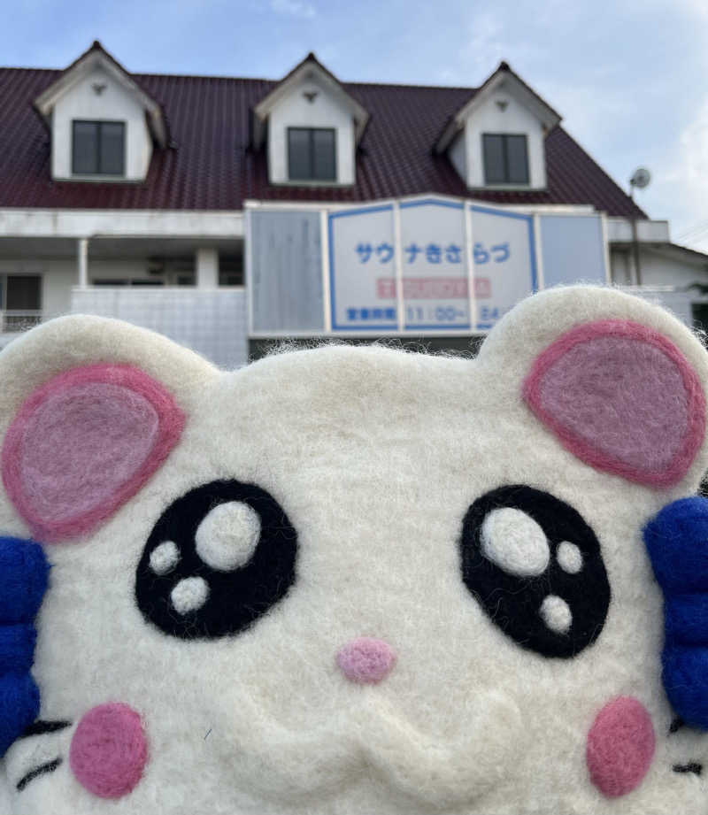 🈂🎀リボンちゃん🎀さんのサウナきさらづ つぼやのサ活写真
