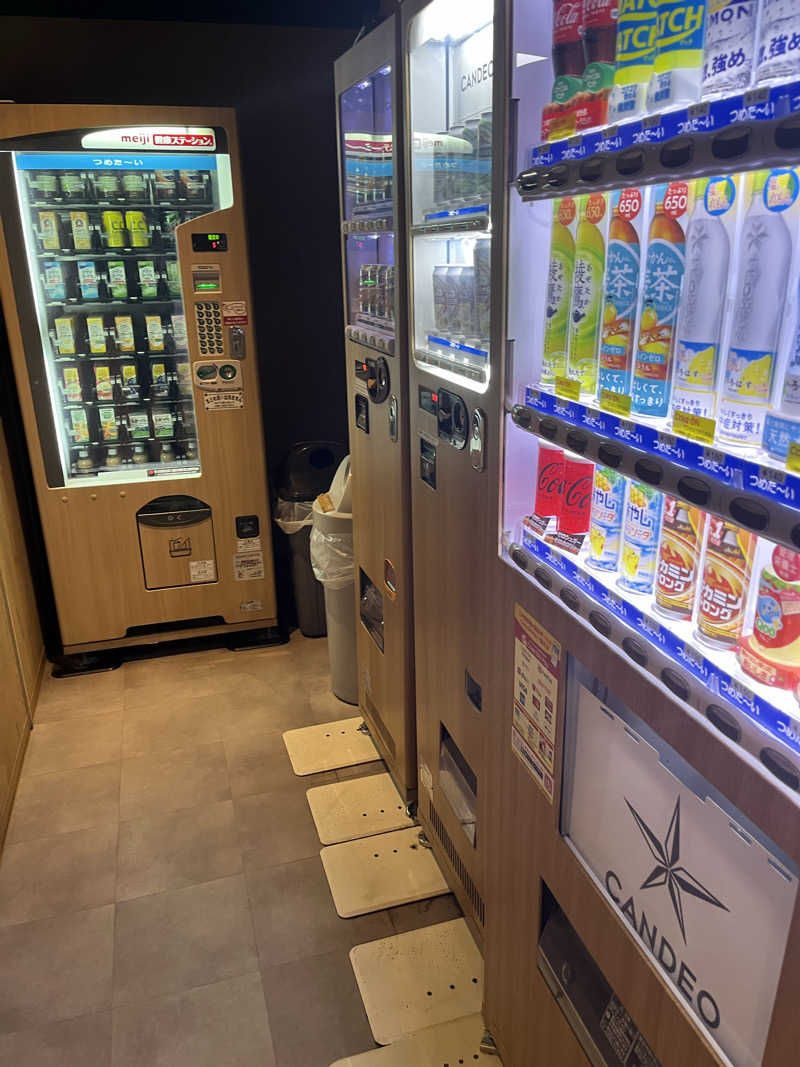 けんさんさんのカンデオホテルズ福山のサ活写真