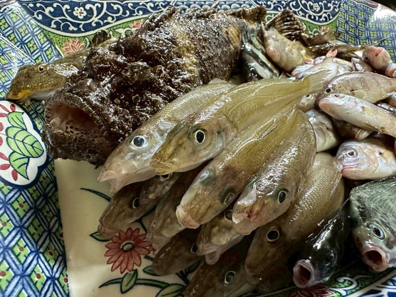 denirouさんの瀬波グランドホテル はぎのやのサ活写真