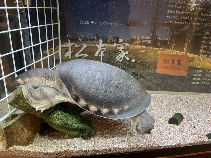 YoungBoyTsuyoponさんの松本湯のサ活写真