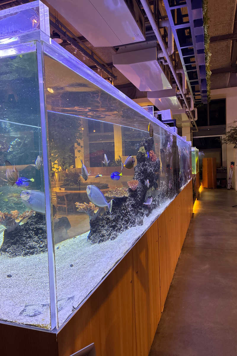 TAKIさんのよみうりランド眺望温泉 花景の湯のサ活写真