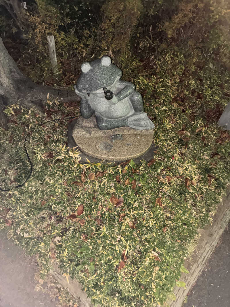 TAKIさんの天然温泉 真名井の湯 大井店のサ活写真