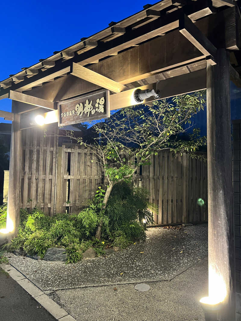 けーさんの大谷田温泉 明神の湯のサ活写真
