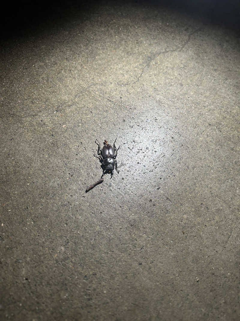 八方の風優羽（略:八風）さんのゆ〜とぴあ仙台南のサ活写真