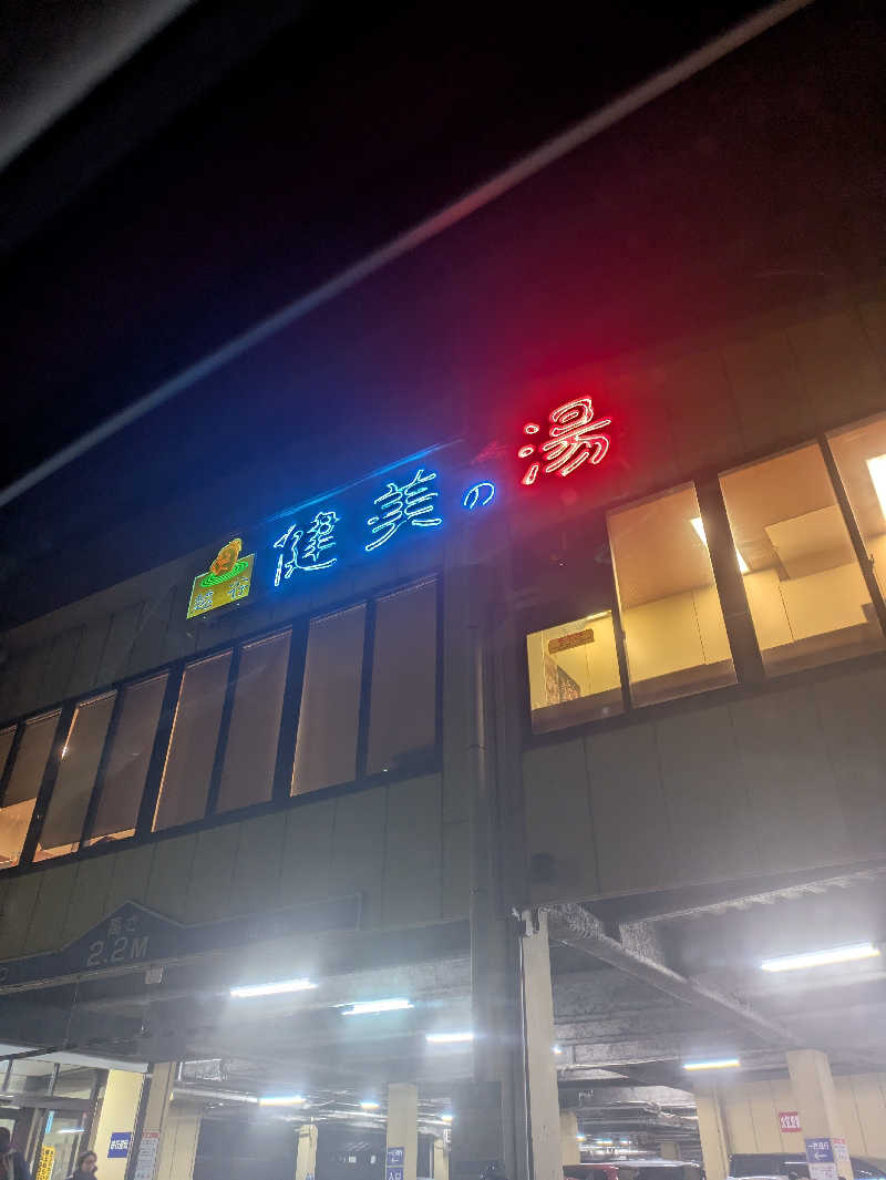 DSさんの越谷健美の湯のサ活写真