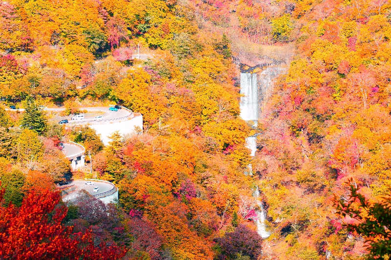 ちーばくんさんのスパメッツァ 仙台 竜泉寺の湯のサ活写真