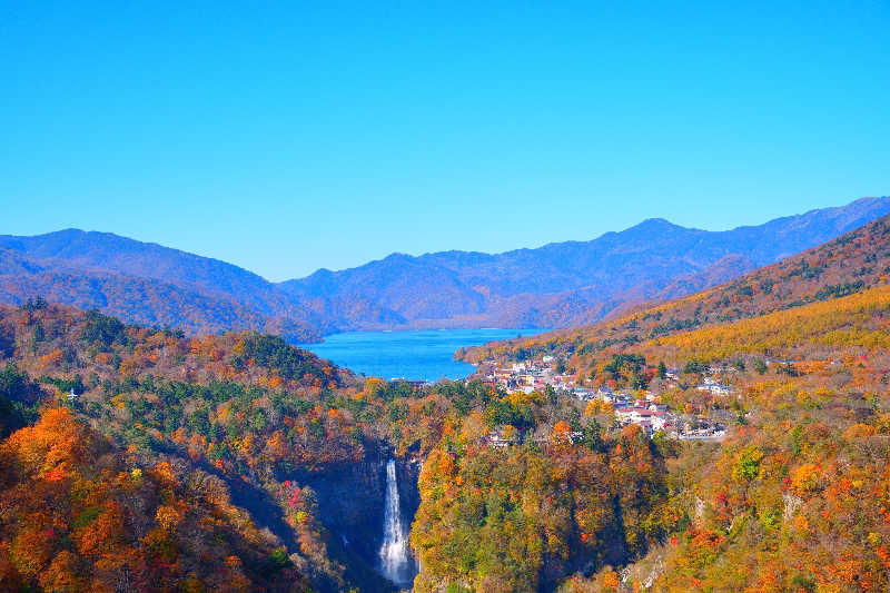 ちーばくんさんのスパメッツァ 仙台 竜泉寺の湯のサ活写真