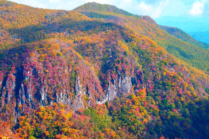 ちーばくんさんのスパメッツァ 仙台 竜泉寺の湯のサ活写真