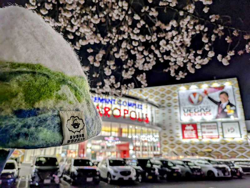 ちーばくんさんのゆ〜とぴあ仙台南のサ活写真