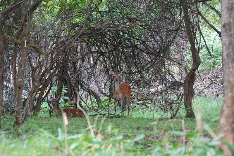 ちーばくんさんのテラス蓼科リゾート&スパのサ活写真