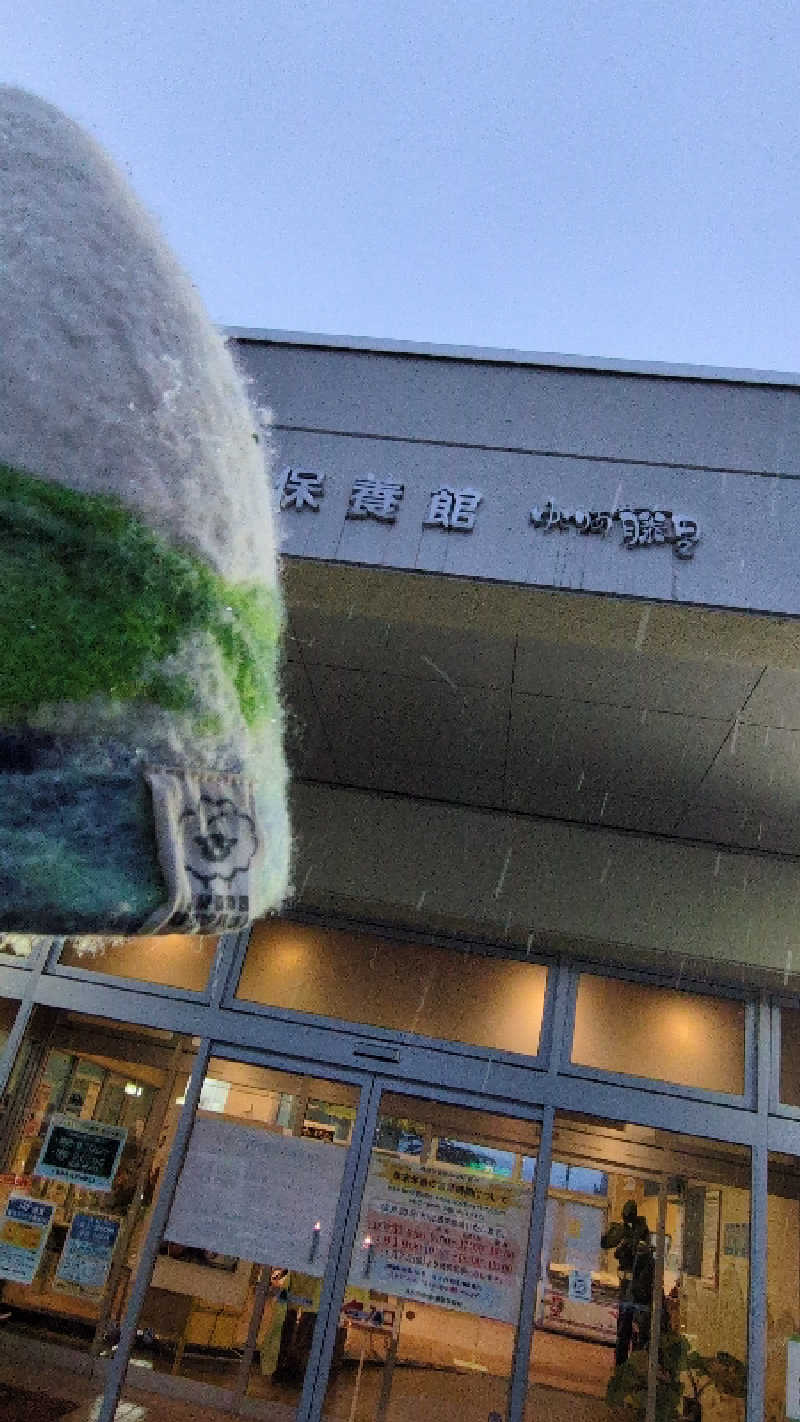 ちーばくんさんのホテルゆとりあ藤里のサ活写真