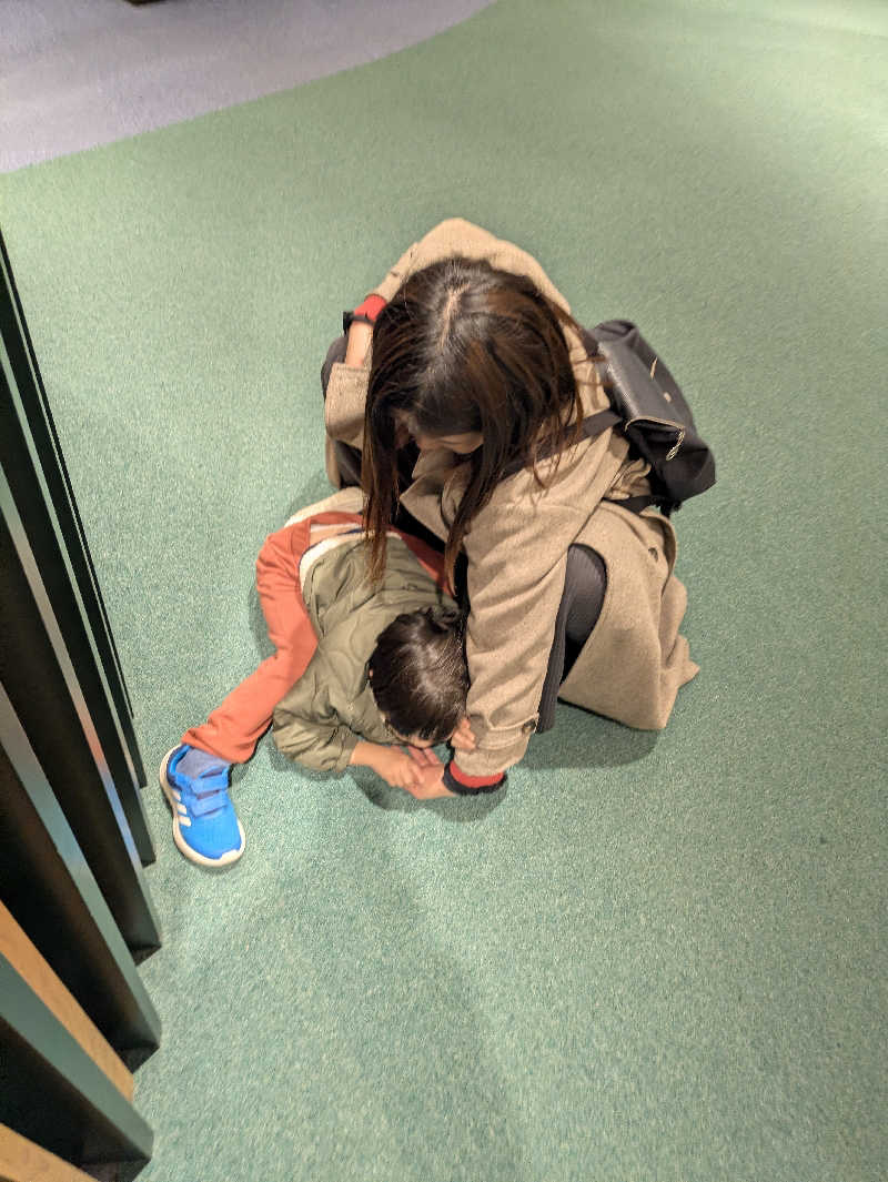 ちーばくんさんのホテルゆとりあ藤里のサ活写真