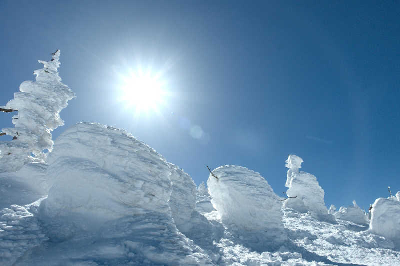 ちーばくんさんのるぽぽの森(るぽぽかわさき・笹谷オートキャンプ場)のサ活写真