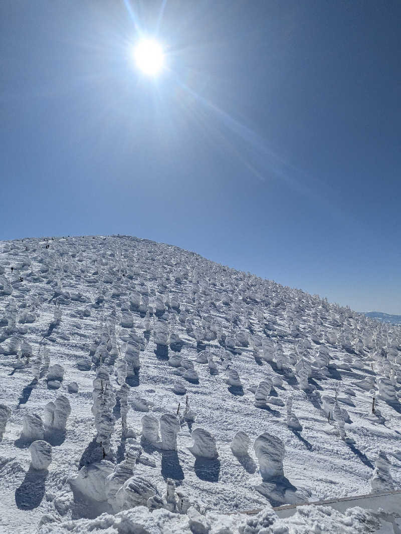 ちーばくんさんのるぽぽの森(るぽぽかわさき・笹谷オートキャンプ場)のサ活写真