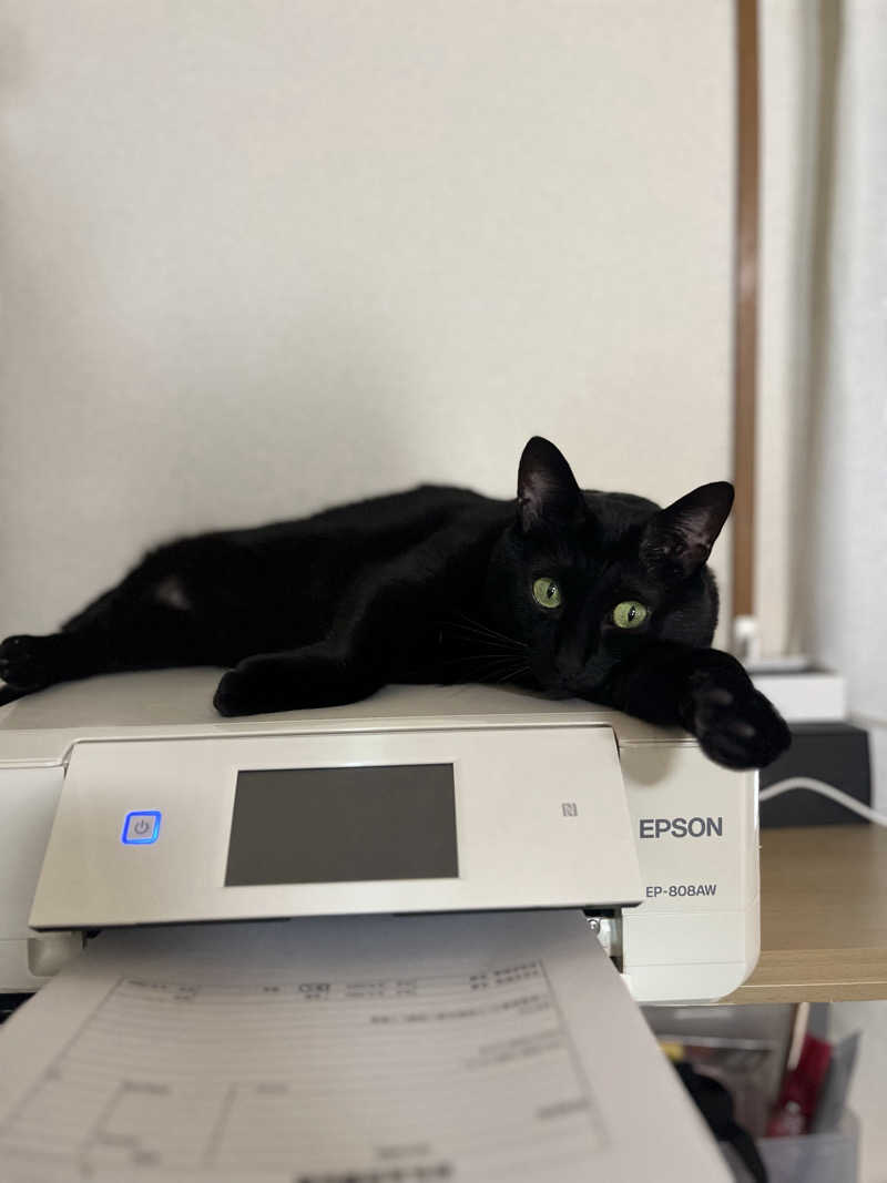 猫boyまたはブラックティーちゃん（仮名さんのサウナヘヴン草加のサ活写真