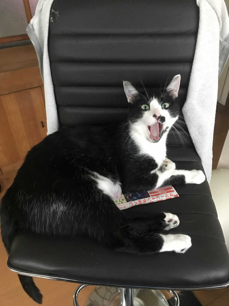 猫boyまたはブラックティーちゃん（仮名さんのサウナヘヴン草加のサ活写真