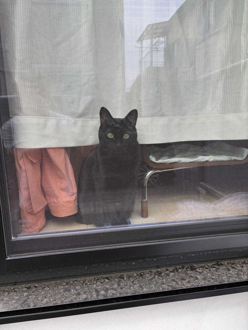猫boyまたはブラックティーちゃん（仮名さんのサウナヘヴン草加のサ活写真