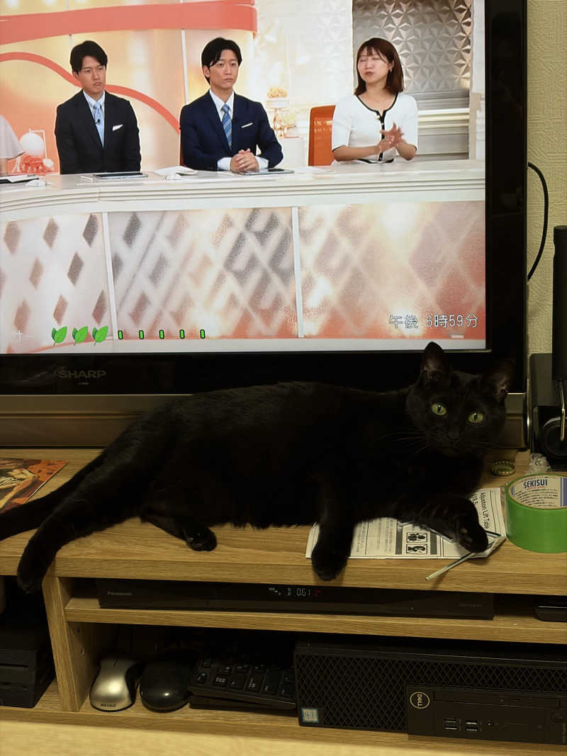 猫boyまたはブラックティーちゃん（仮名さんのサウナヘヴン草加のサ活写真