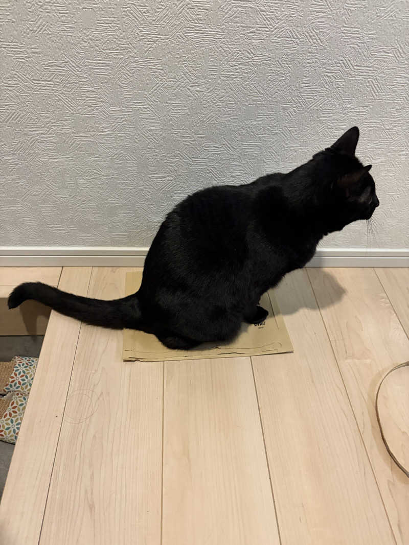 猫boyまたはブラックティーちゃん（仮名さんのサウナヘヴン草加のサ活写真