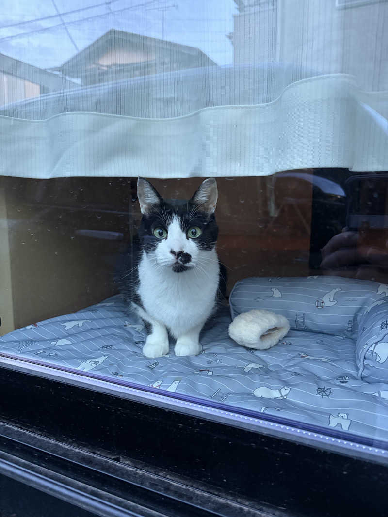猫boyまたはブラックティーちゃん（仮名さんの毎日サウナ 越谷店のサ活写真