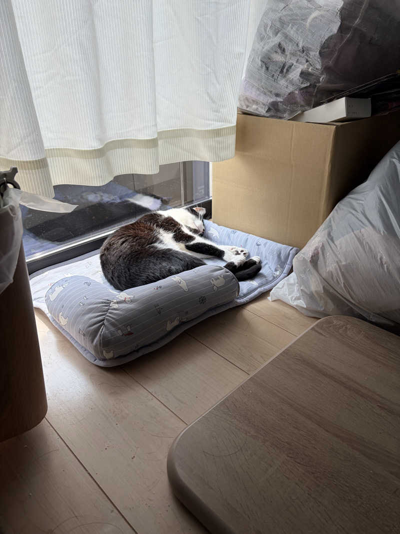 猫boyまたはブラックティーちゃん（仮名さんのサウナヘヴン草加のサ活写真