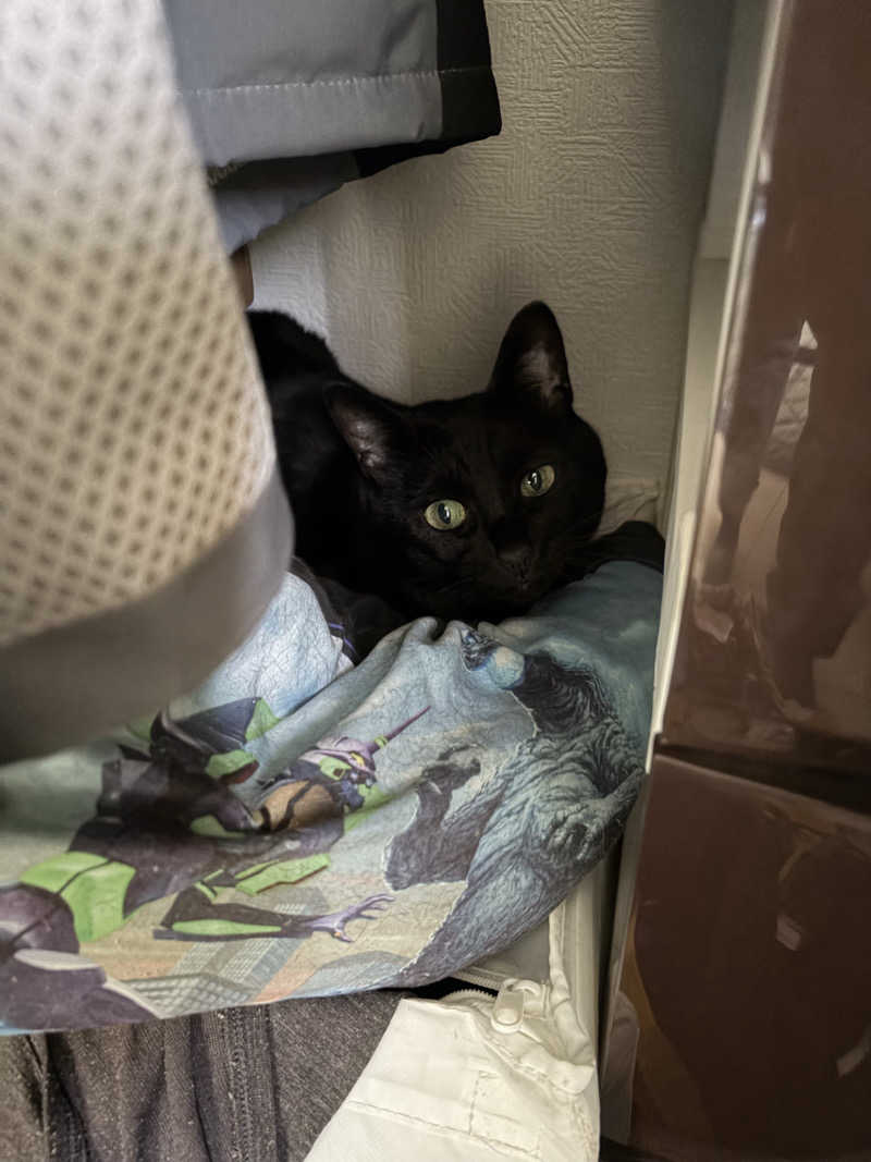 猫boyまたはブラックティーちゃん（仮名さんの信州健康ランドのサ活写真