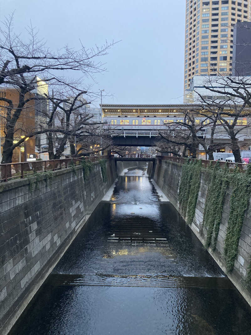 蒸しケンさんの光明泉のサ活写真