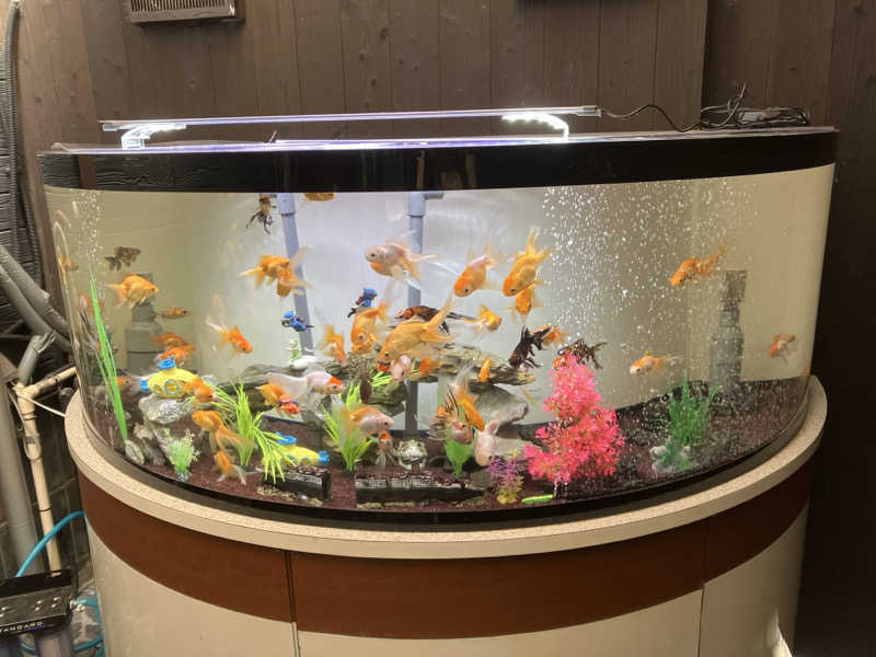 八咫烏さんのまるた屋温泉 西方の湯のサ活写真