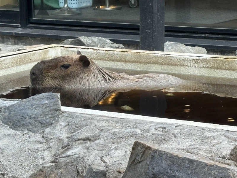 MASHさんの石狩天然温泉 番屋の湯のサ活写真