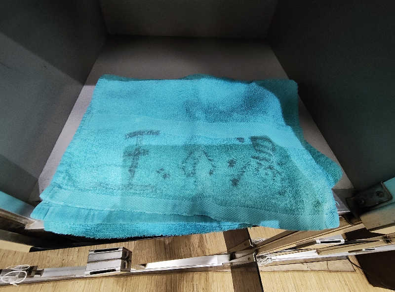 誠一さんの玉の湯のサ活写真