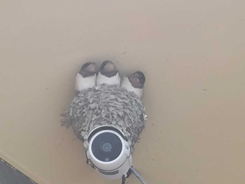 誠一さんの尾張温泉東海センターのサ活写真