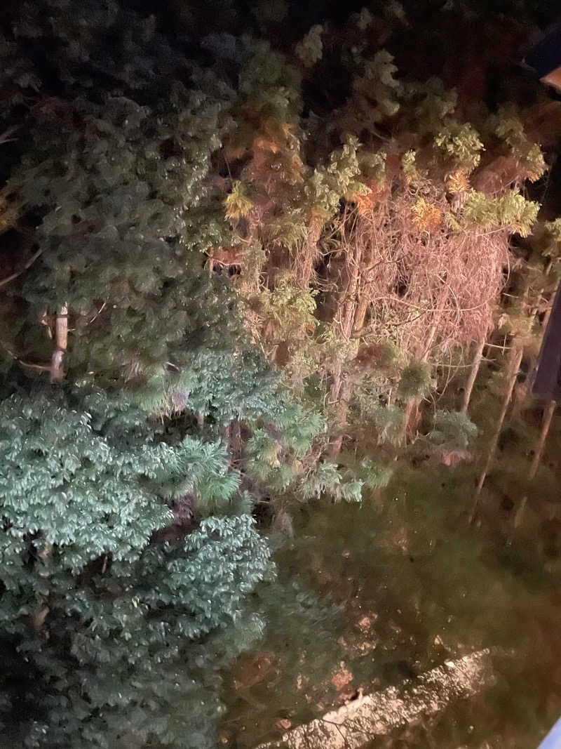 ちびのすけさんの二ノ丸温泉のサ活写真