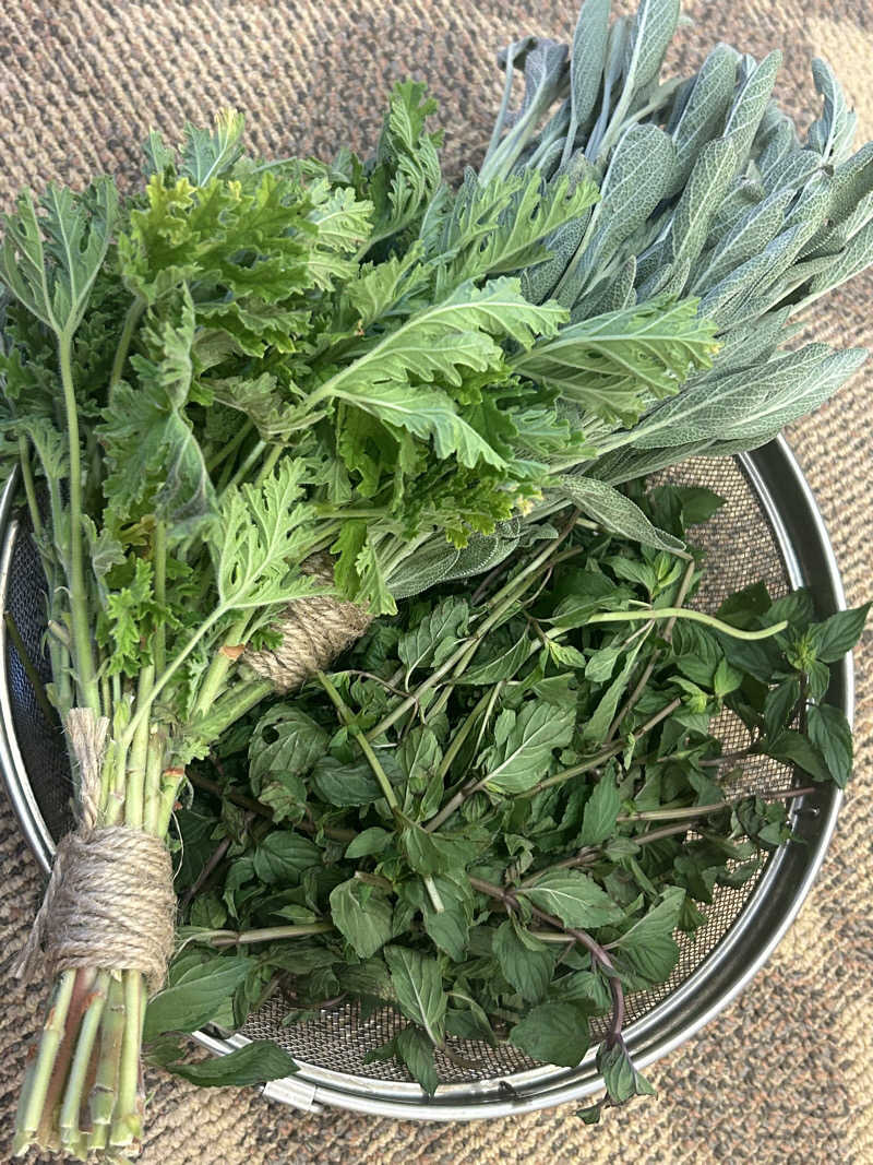 yuki@熱波姉妹（妹）さんの天光の湯のサ活写真