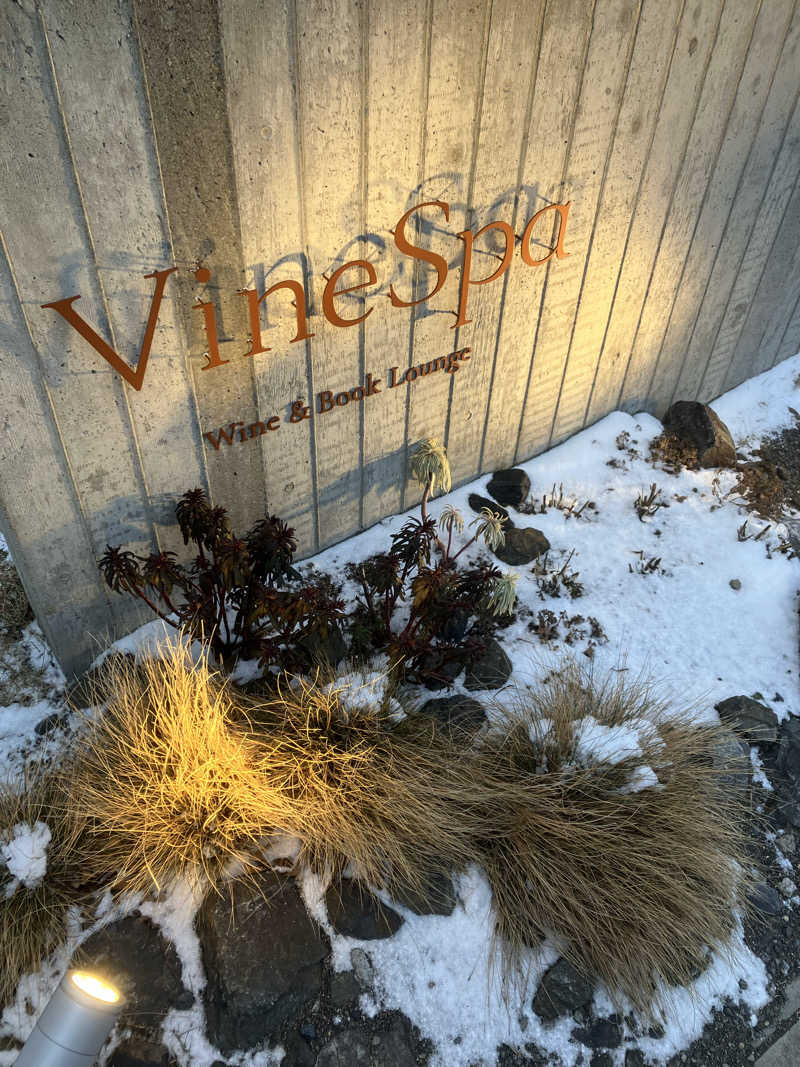 タイガースープロウリュさんのカーブドッチヴィネスパのサ活写真