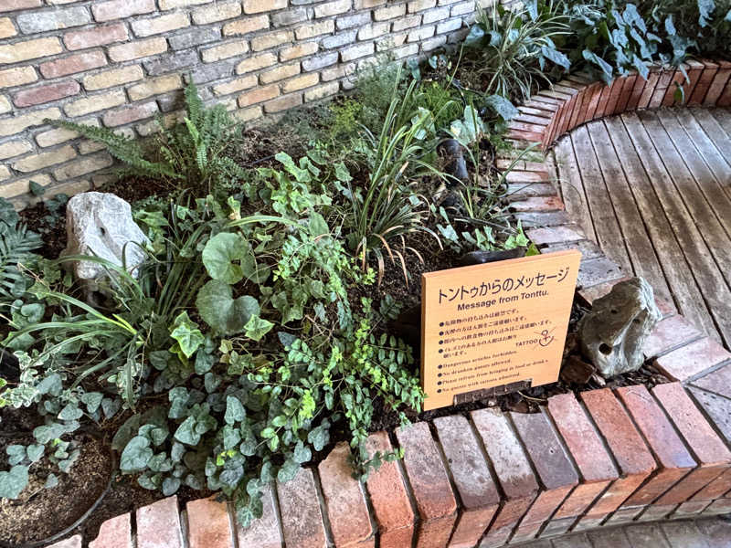 蒸し椎茸さんの神戸サウナ&スパのサ活写真