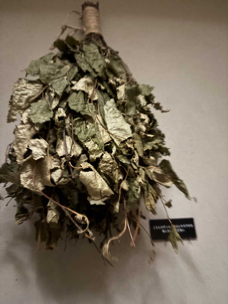 じょーじさんのSAUNA Pod 槃のサ活写真