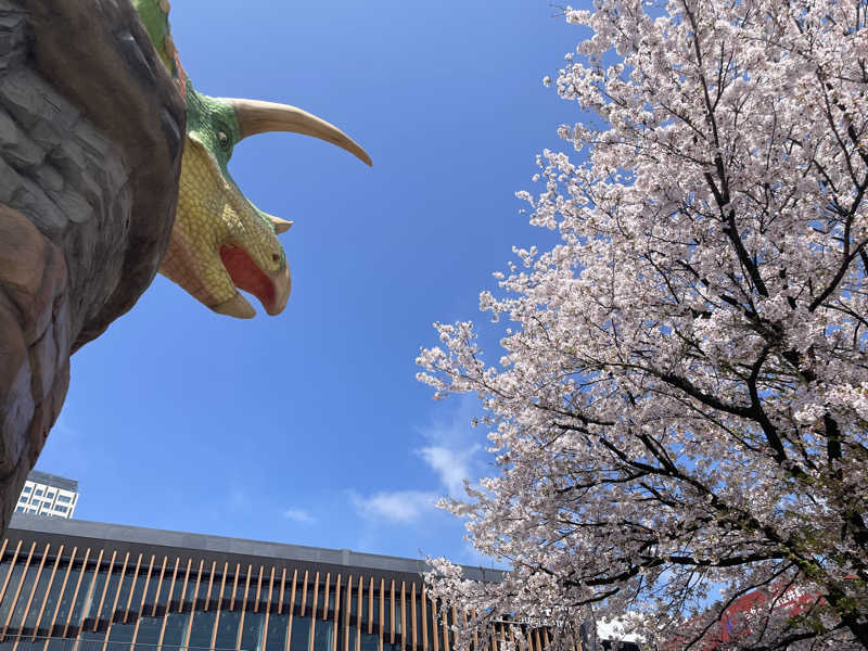 たま。さんの政竜閣のサ活写真