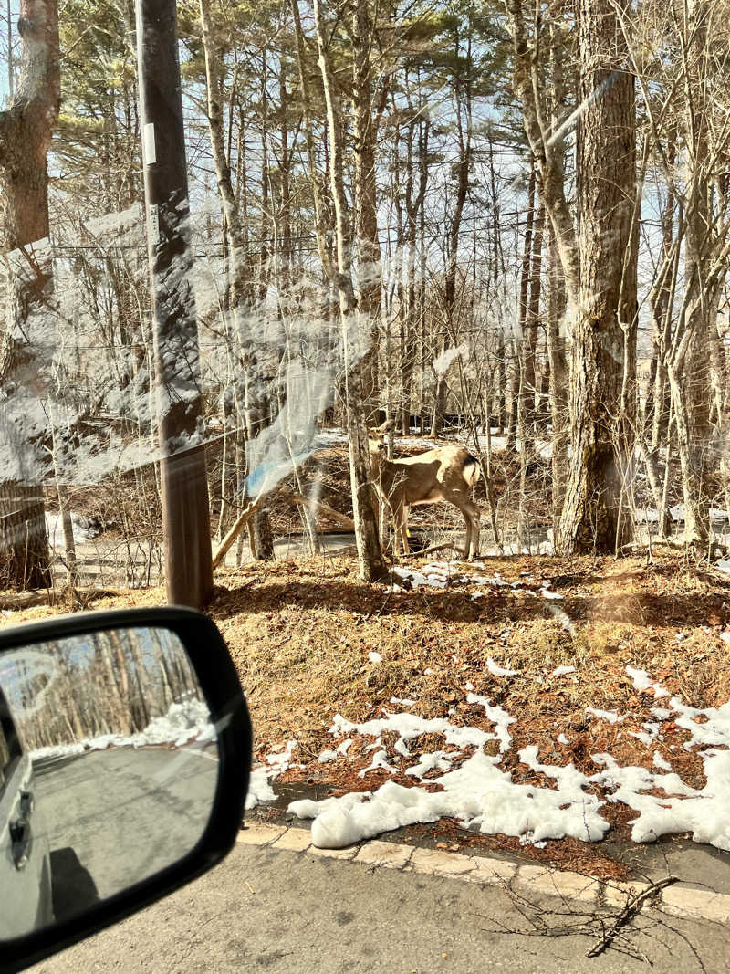 ひゃんひゃんさんのホテルマウント富士のサ活写真
