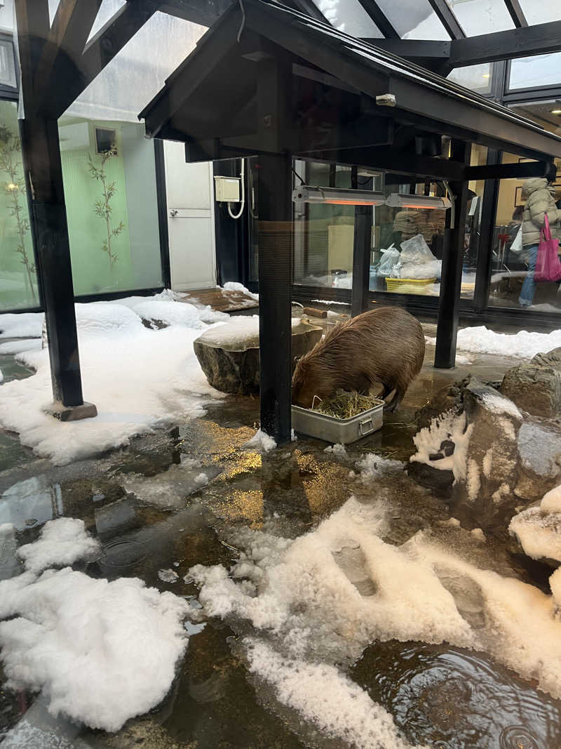 ハイ・サウナさんの石狩天然温泉 番屋の湯のサ活写真