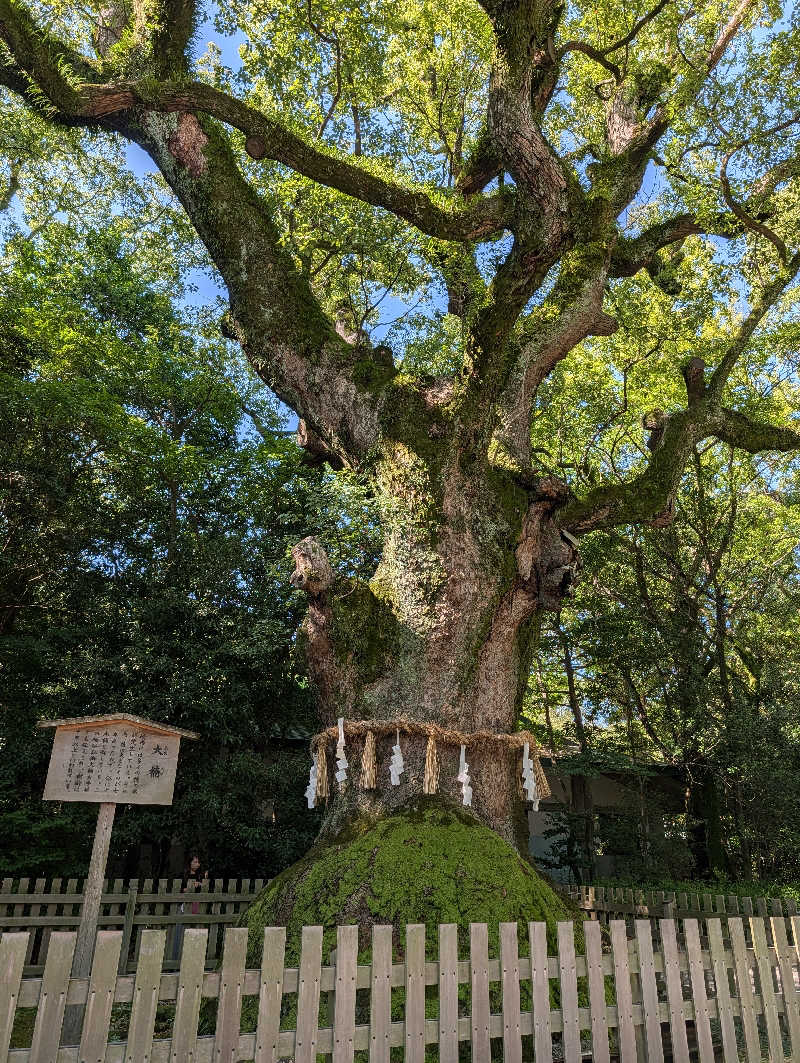 鰆さんのウェルビー栄のサ活写真
