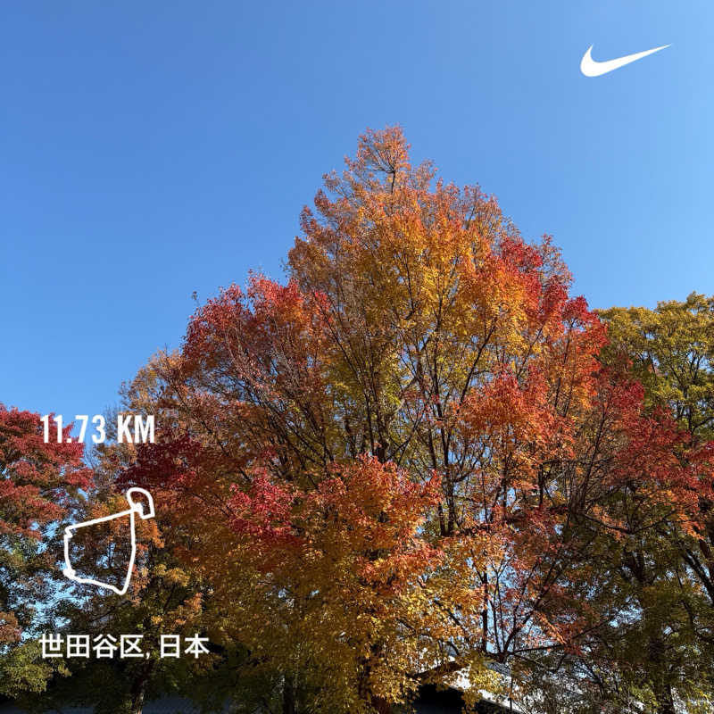 na♨️2さんのバーデンプレイスのサ活写真