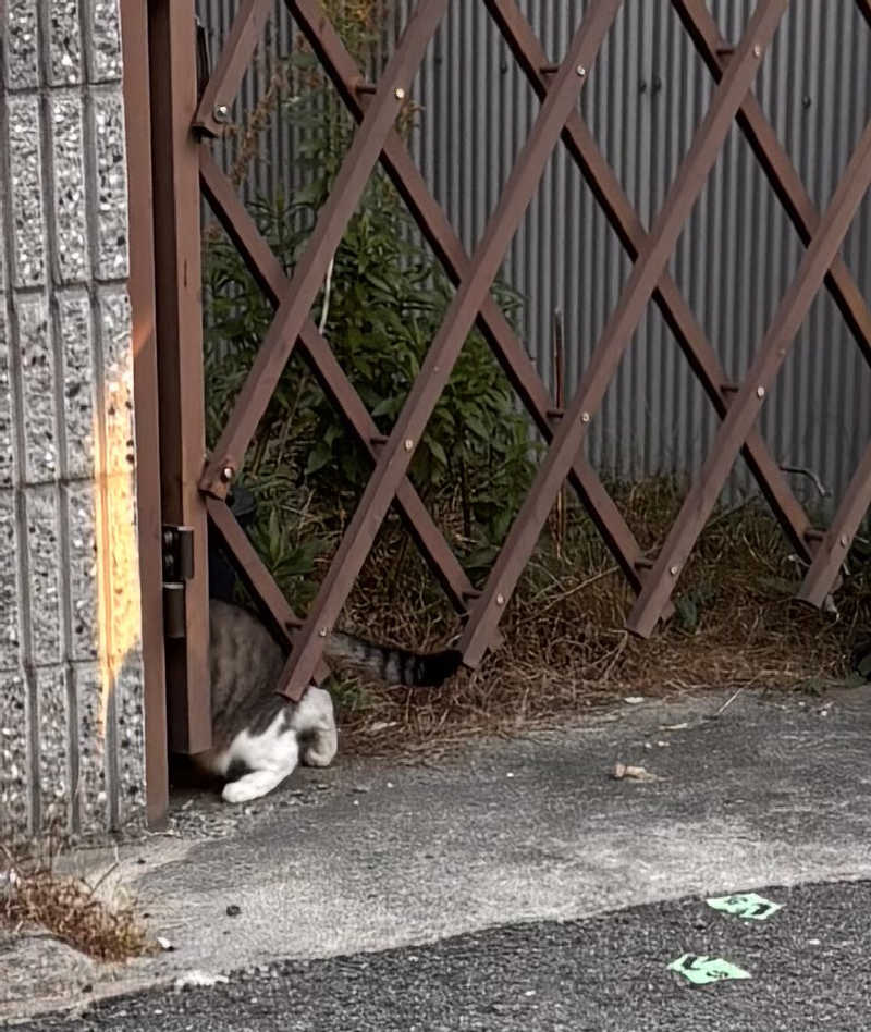 Keiさんの天然温泉 満月のサ活写真