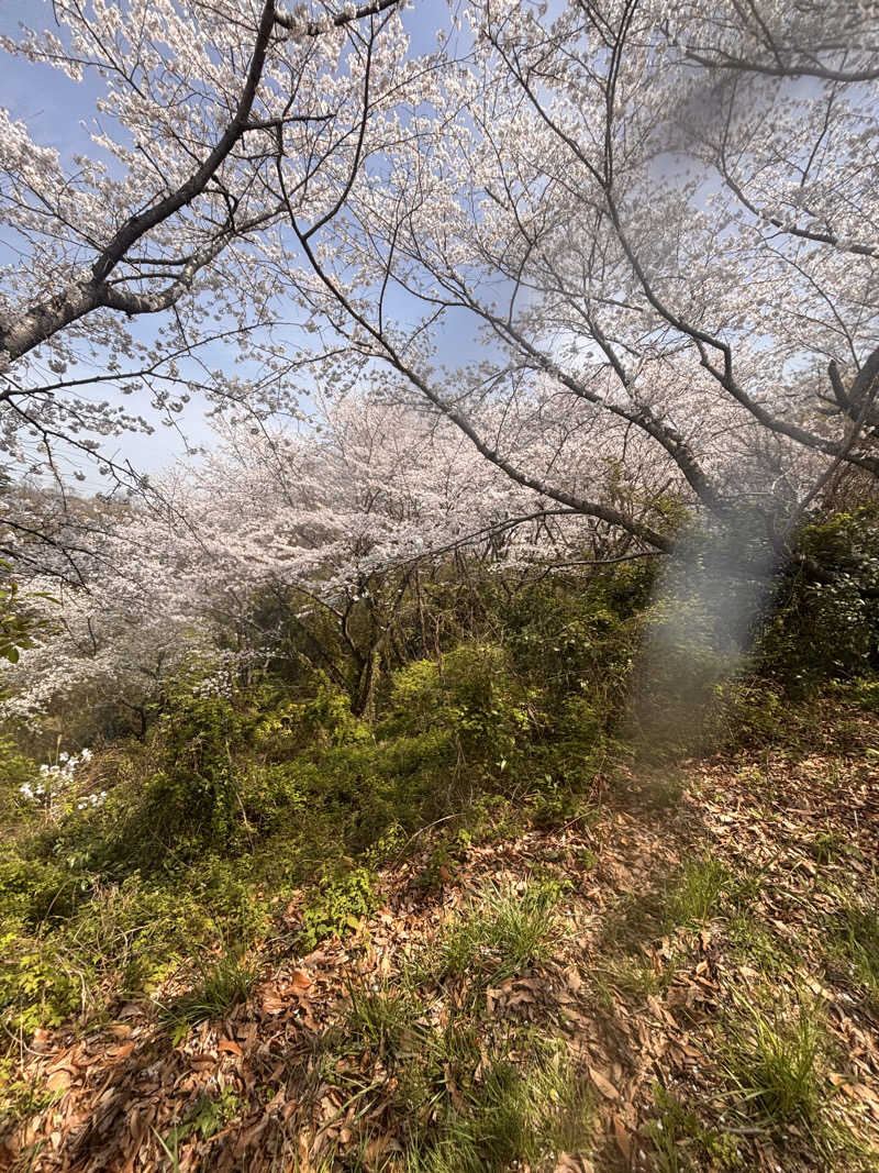 Keiさんの太子温泉のサ活写真