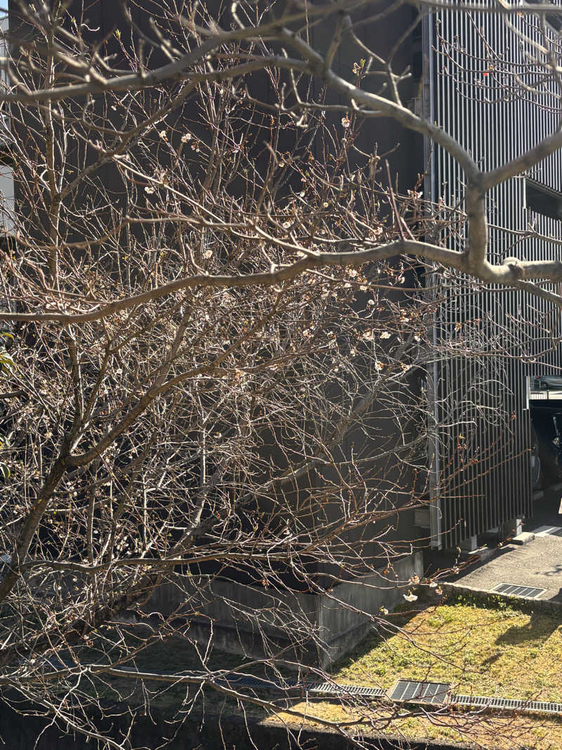 Keiさんの極楽湯 茨木店のサ活写真