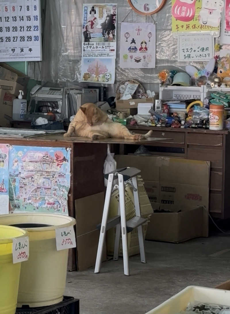 Keiさんの丸亀ぽかぽか温泉のサ活写真